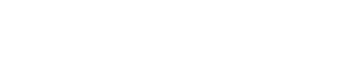 Everest AI